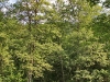 imprejurimi_004