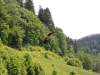 imprejurimi_005