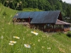 tabara_004