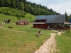 tabara_007