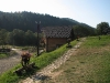 tabara_010